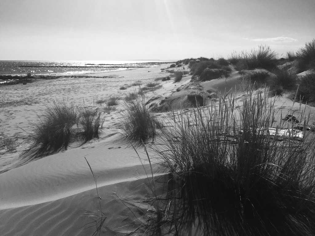Baie d'Aigues-Mortes